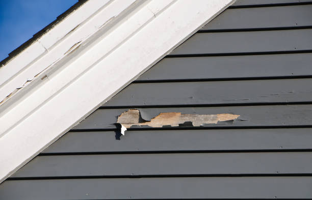 Best Shed Removal  in Delhi, LA